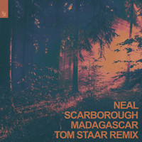 Neal Scarborough - Madagascar (Tom Staar Remix)