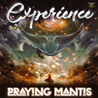 Praying-Mantis - Experience