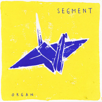 Segment - Organ