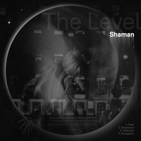 Shaman - The Level