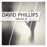 david phillips - David Phillips, Vol. 14