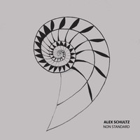 Alex Schultz - Non Standard