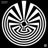 Beico & Mt93 - Labyrinth EP