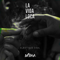 Elastique Soul - La Vida Loca