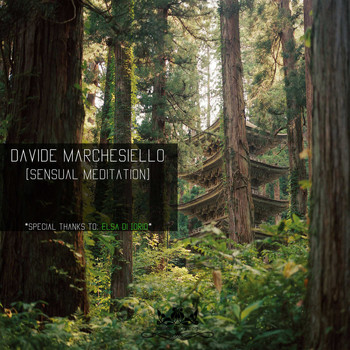 Davide Marchesiello - Sensual Meditation