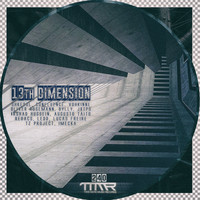 Shkedul - 13Th Dimension