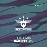 ND Cherian - Bad Feeling