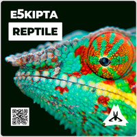 E5kipta - Reptile