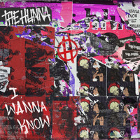 The Hunna - I Wanna Know (Explicit)