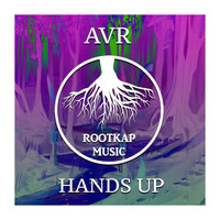 AVR - Hands Up