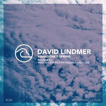 David Lindmer - Abandoned Spring