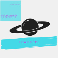 Sugar Glider - I Can Feel