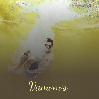 Various Artists - Vamonos