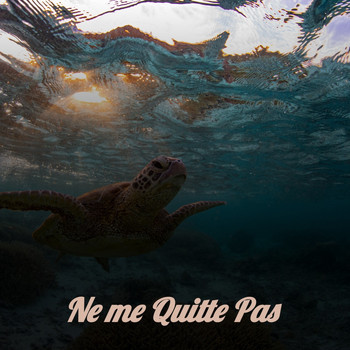 Various Artists - Ne Me Quitte Pas