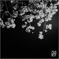 Old Boy - Old Boy
