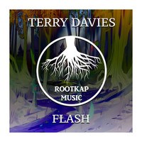 Terry Davies - Flash