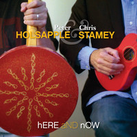 Peter Holsapple & Chris Stamey - Here And Now