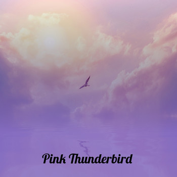 Various Artists - Pink Thunderbird