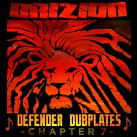 Brizion - Defender Dubplates Chapter 7