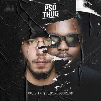 PSO THUG - Code 1.8.7 : Introduction (Explicit)