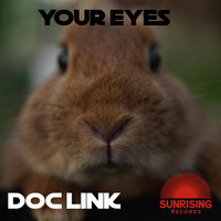 Doc Link - Your Eyes