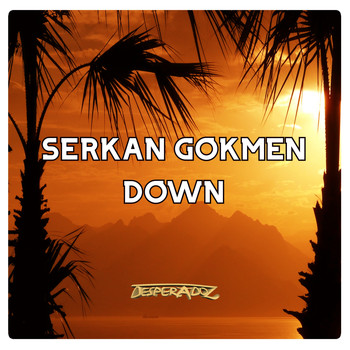 Serkan Gokmen - Down