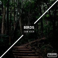 Sam Koen - Birds