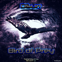 DSurr - Bird of Prey