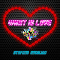 Stefano Ercolino - What Is Love