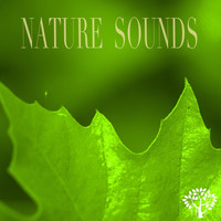 Nature Sound - Nature Sounds