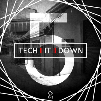 Various Artists - Tech It Down!, Vol. 5