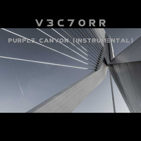 V3c7orR / - Purple Canyon