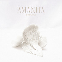 Dreyma - Amanita