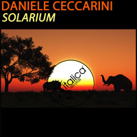 Daniele Ceccarini - Solarium