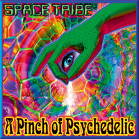Space Tribe - A Pinch of Psychedelic