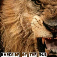 Rasta4eye - Dark Side of the Dub