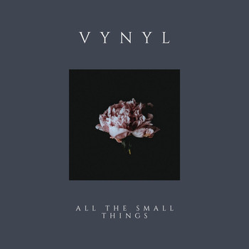 Vynyl - All the Small Things