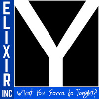 Elixir Inc. - What You Gonna Do Tonight?