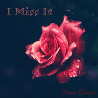 Sam Diem - I Miss It