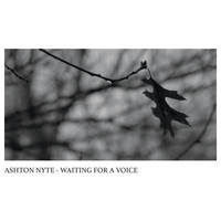 Ashton Nyte - Waiting for a Voice