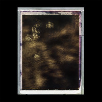 Puscha - Echolalia