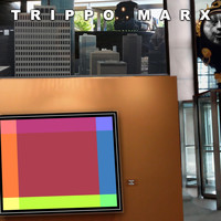 Trippo Marx - Inside the Frame