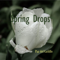 Paz del Castillo - Spring Drops