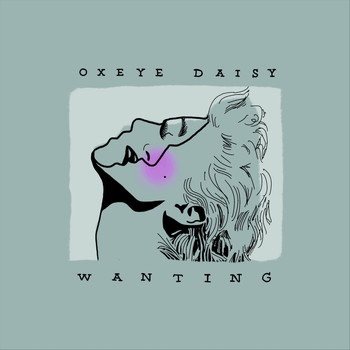 Oxeye Daisy - Wanting
