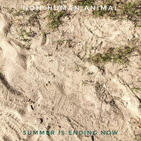 Non-Human Animal - Summer Is Ending Now