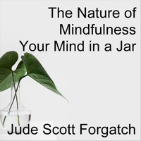 Jude Scott Forgatch - The Nature of Mindfulness Your Mind in a Jar