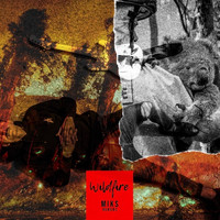 Miks Dukurs - Wildfire