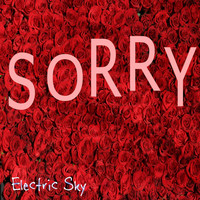 Electric Sky - Sorry