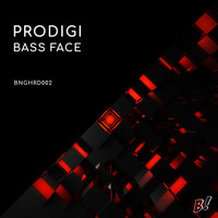 PRODIGI - Bass Face