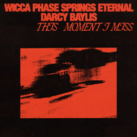 Wicca Phase Springs Eternal - This Moment I Miss